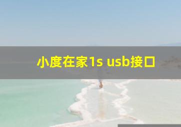 小度在家1s usb接口